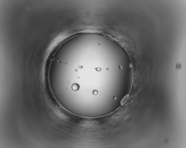 X0000102350296200808011210