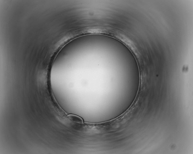 X0000102350297200808011210