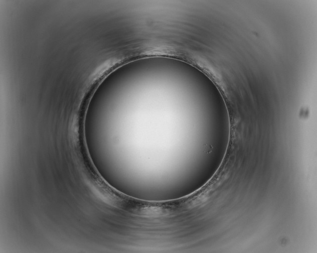 X0000102350298200808011210