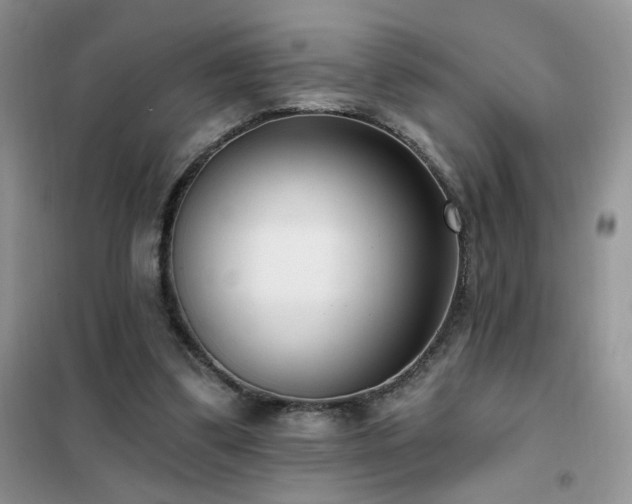 X0000102350299200808011210