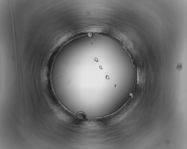 X0000102350300200808011210