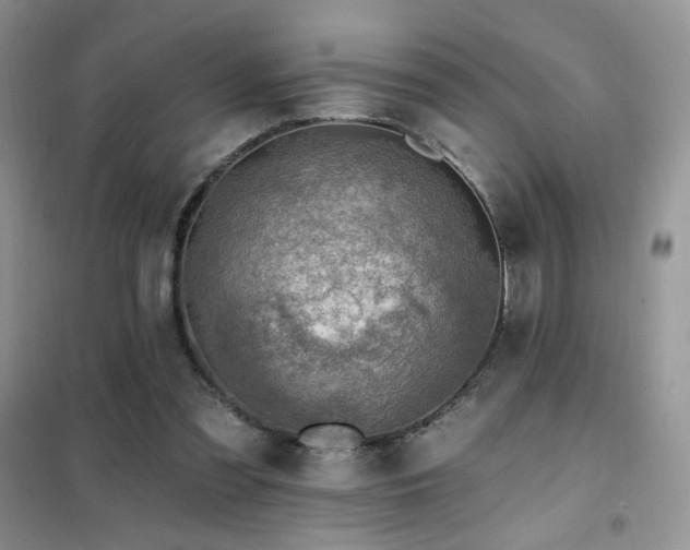 X0000102350301200808011210