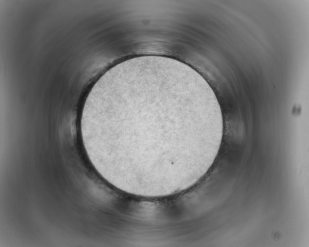 X0000102350302200808011210