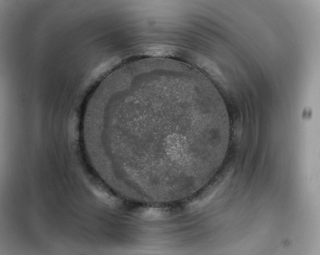 X0000102350303200808011210