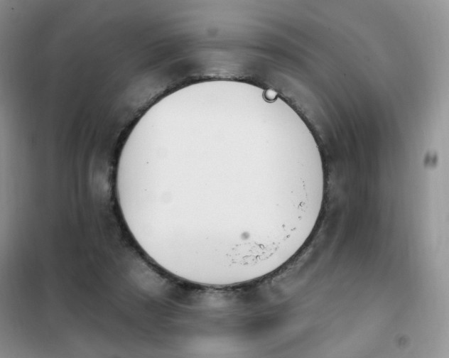 X0000102350305200808011210