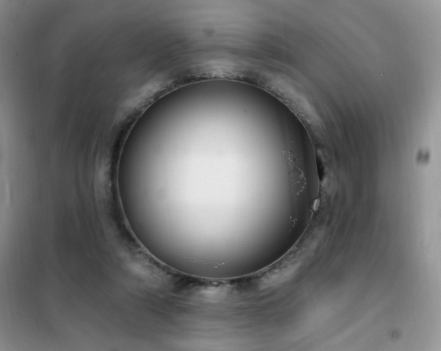 X0000102350306200808011210