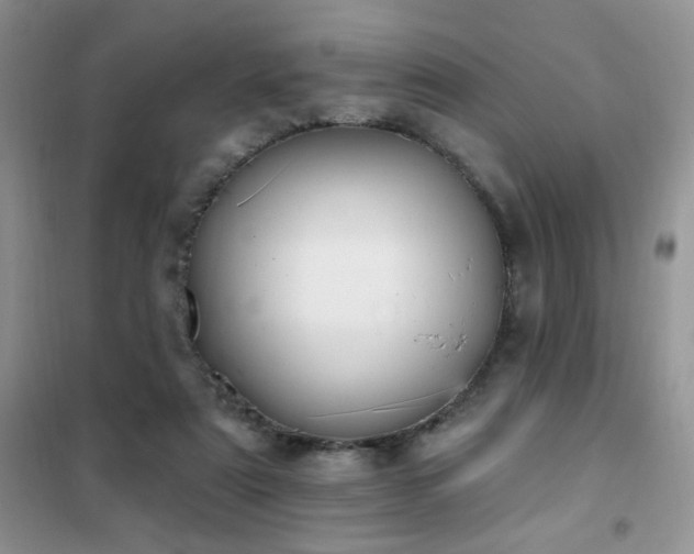 X0000102350307200808011210