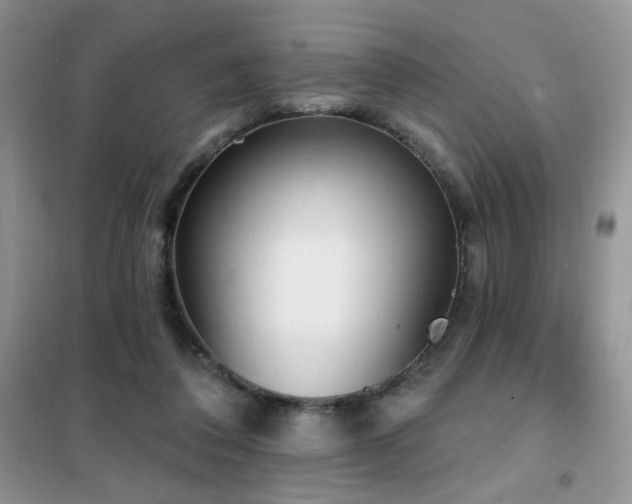 X0000102350308200808011210