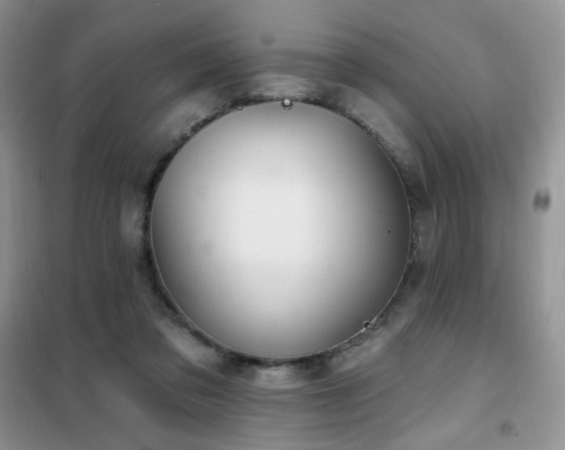 X0000102350309200808011210