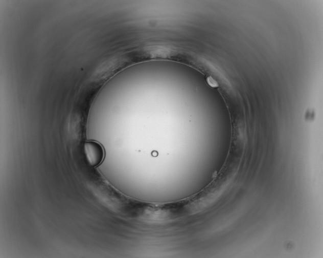 X0000102350311200808011210