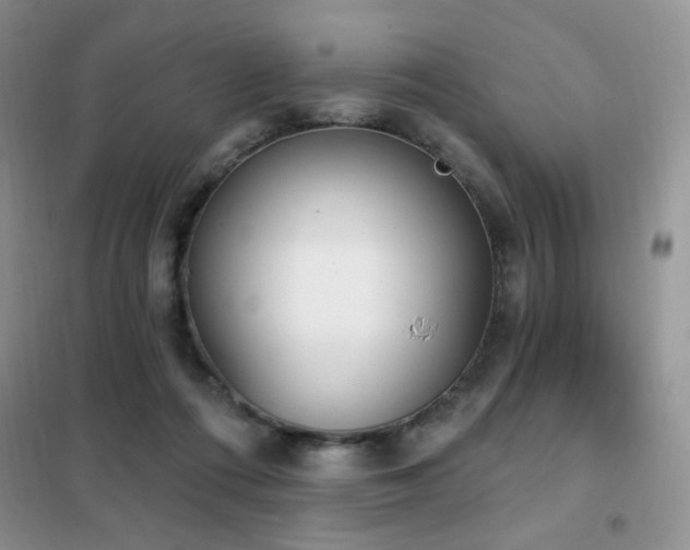 X0000102350312200808011210