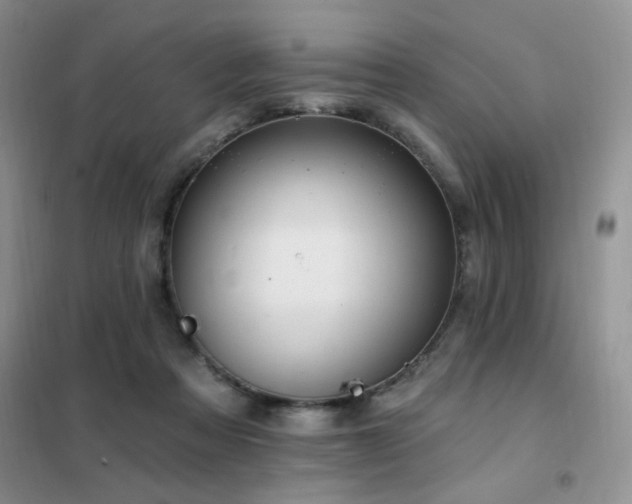 X0000102350313200808011210