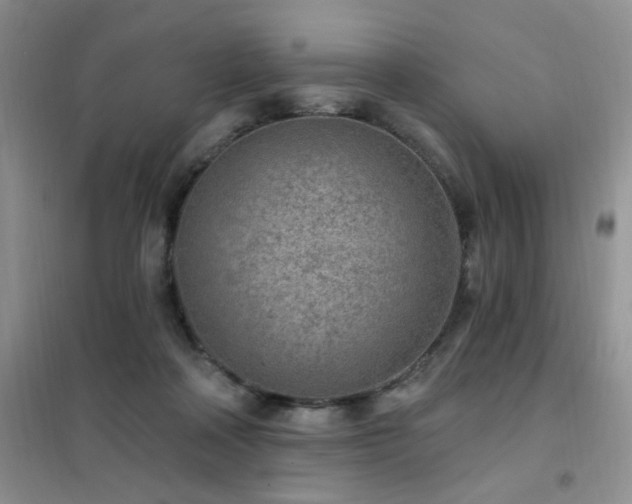 X0000102350314200808011210