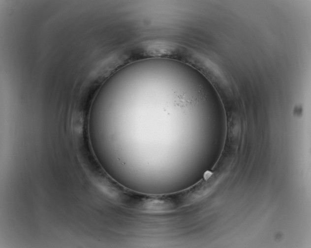 X0000102350315200808011210