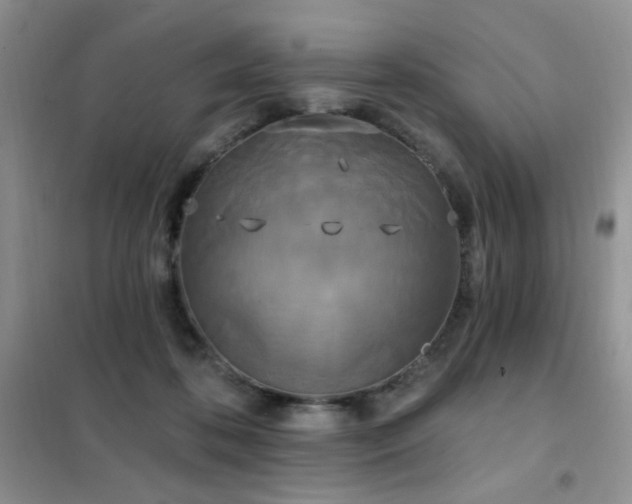 X0000102350316200808011210