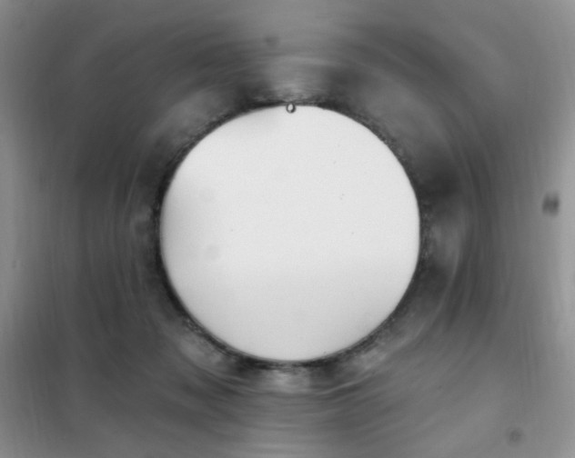 X0000102350317200808011210