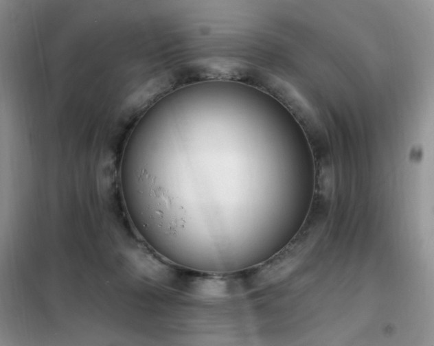 X0000102350318200808011210