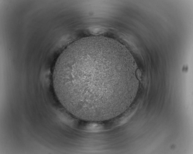 X0000102350319200808011210