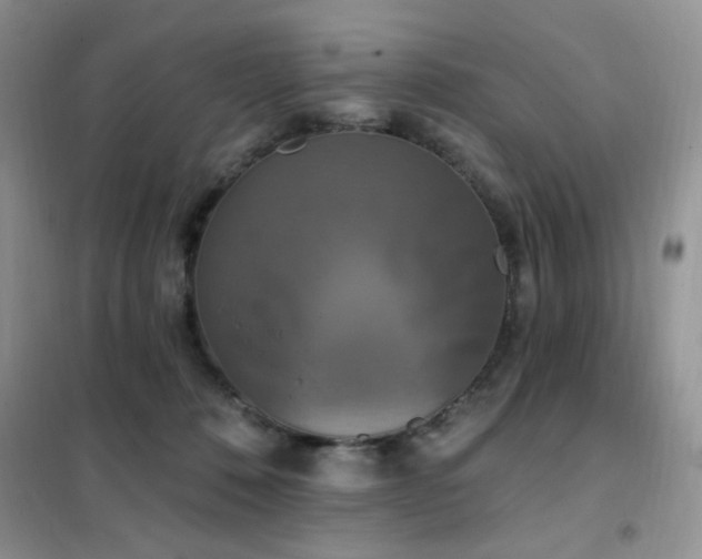 X0000102350320200808011210