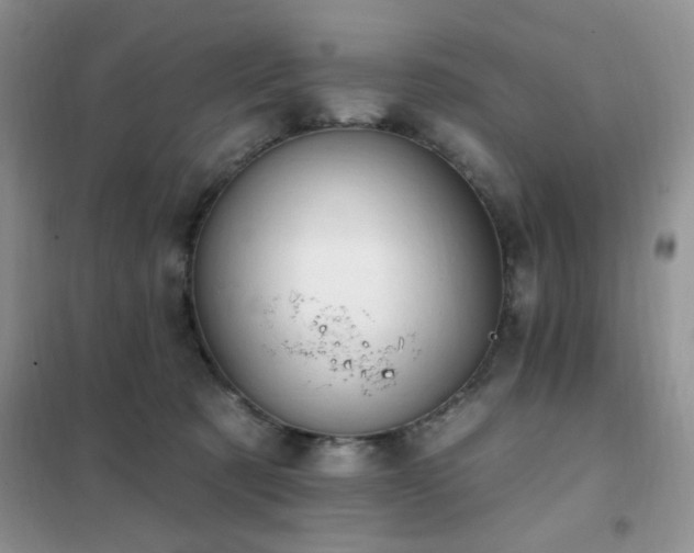 X0000102350321200808011210