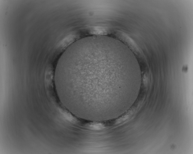 X0000102350322200808011210