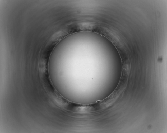 X0000102350323200808011210