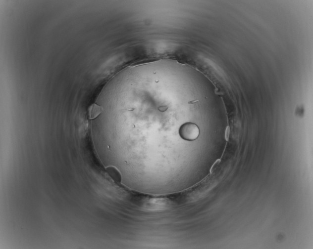 X0000102350324200808011210