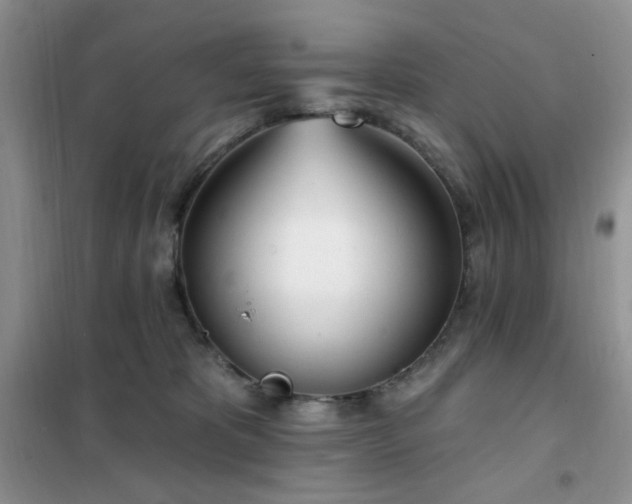 X0000102350325200808011210