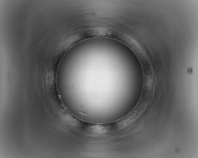 X0000102350326200808011210