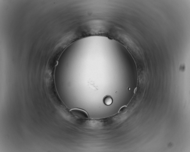 X0000102350327200808011210