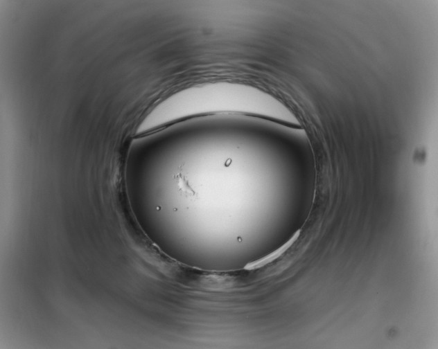 X0000102350328200808011210