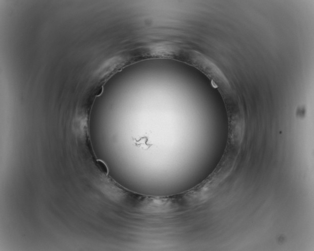 X0000102350329200808011209