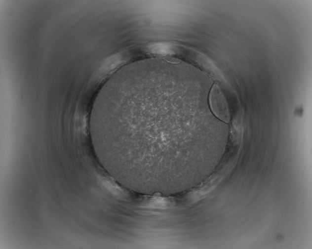 X0000102350330200808011209