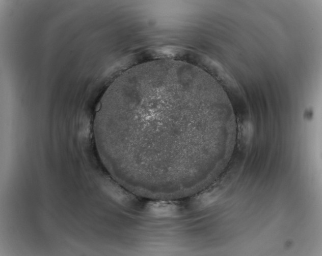 X0000102350331200808011209