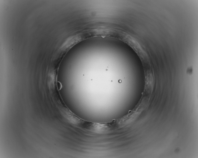 X0000102350333200808011209