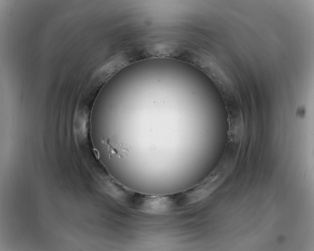 X0000102350334200808011209