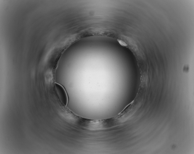 X0000102350335200808011209