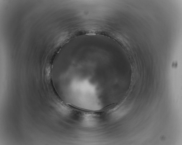 X0000102350336200808011209