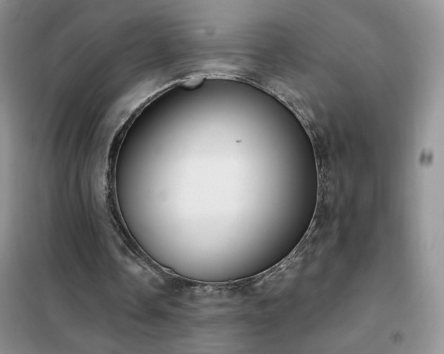 X0000102350338200808011209