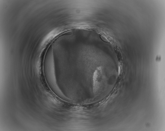 X0000102350339200808011209