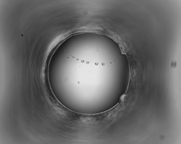 X0000102350340200808011209