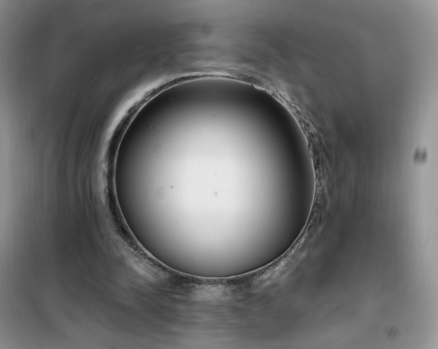 X0000102350342200808011209