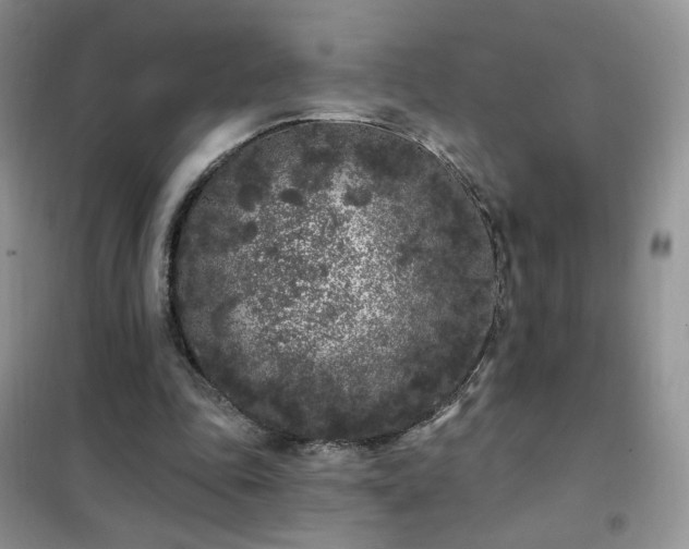 X0000102350343200808011209