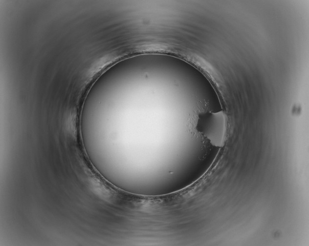 X0000102350345200808011209