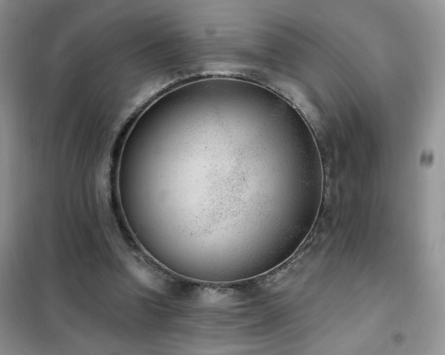 X0000102350346200808011209