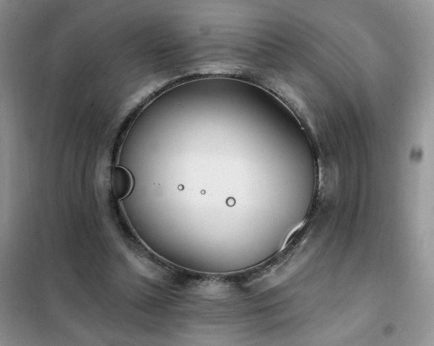 X0000102350348200808011209