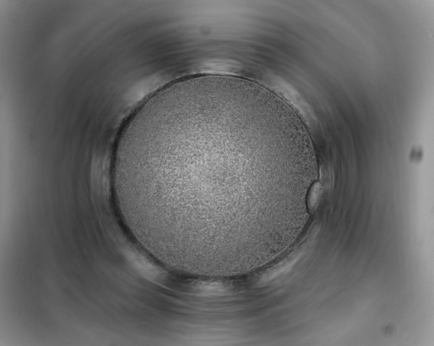 X0000102350349200808011209