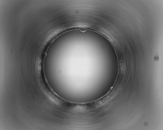 X0000102350350200808011209