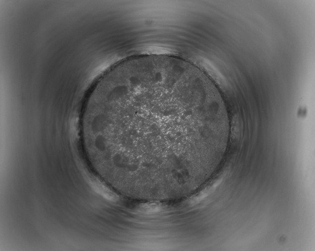 X0000102350351200808011209