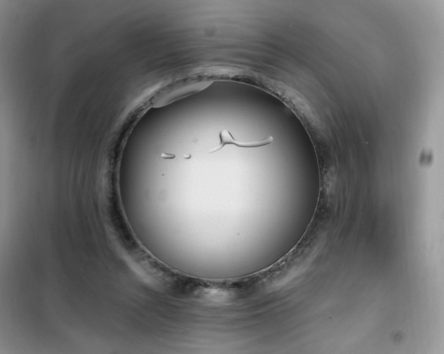 X0000102350352200808011209